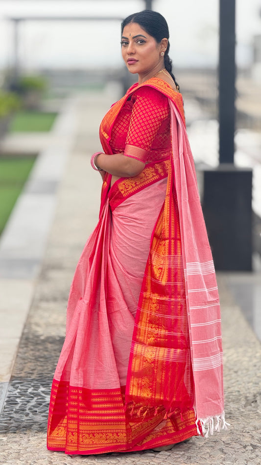 Pure Kanchi cotton zari saree