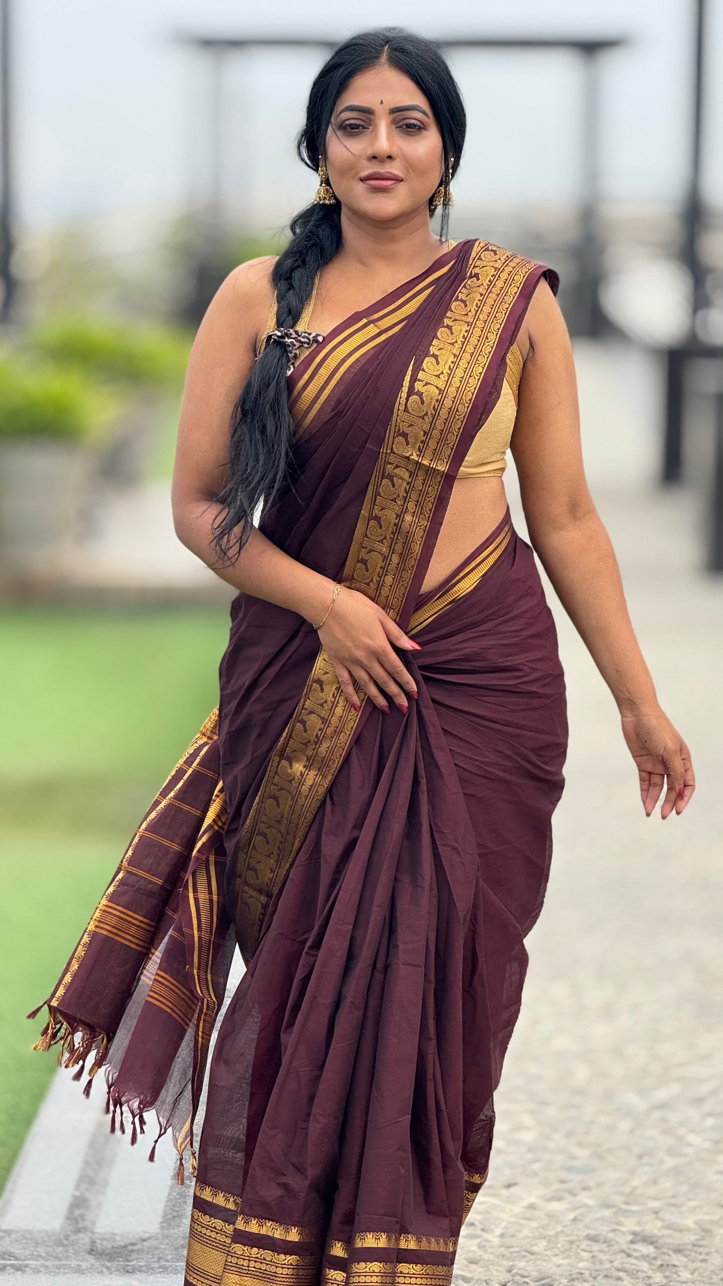 Dark chocolate collection  Pure chettinad cotton sarees